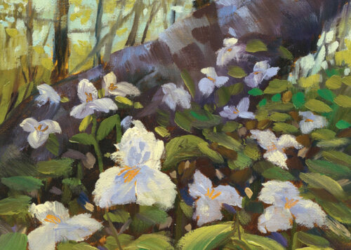 Trillium Living Notecard by Stephanie Schlatetr