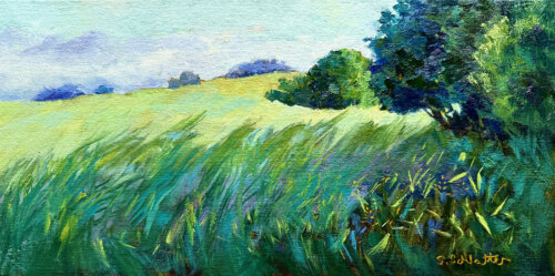 Fields of Summer Painting by Stephanie Schlatter